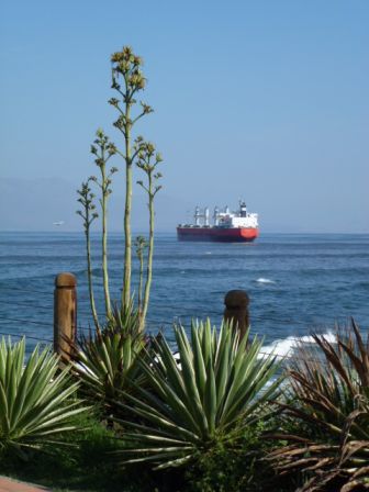 Port d Antofagasta C.JPG